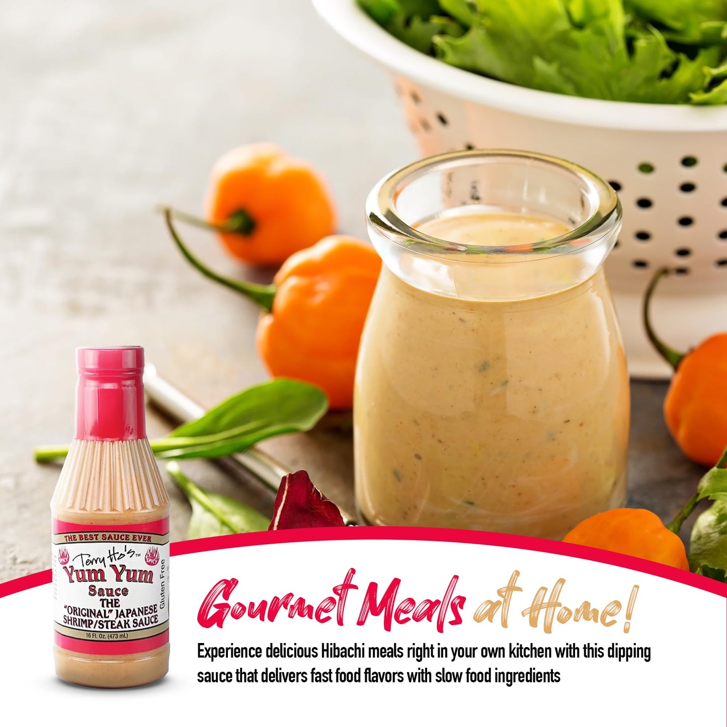 TERRY HOS YUM YUM SAUCE Sweet and Tangy Dipping Sauce 16 oz Pack of 6