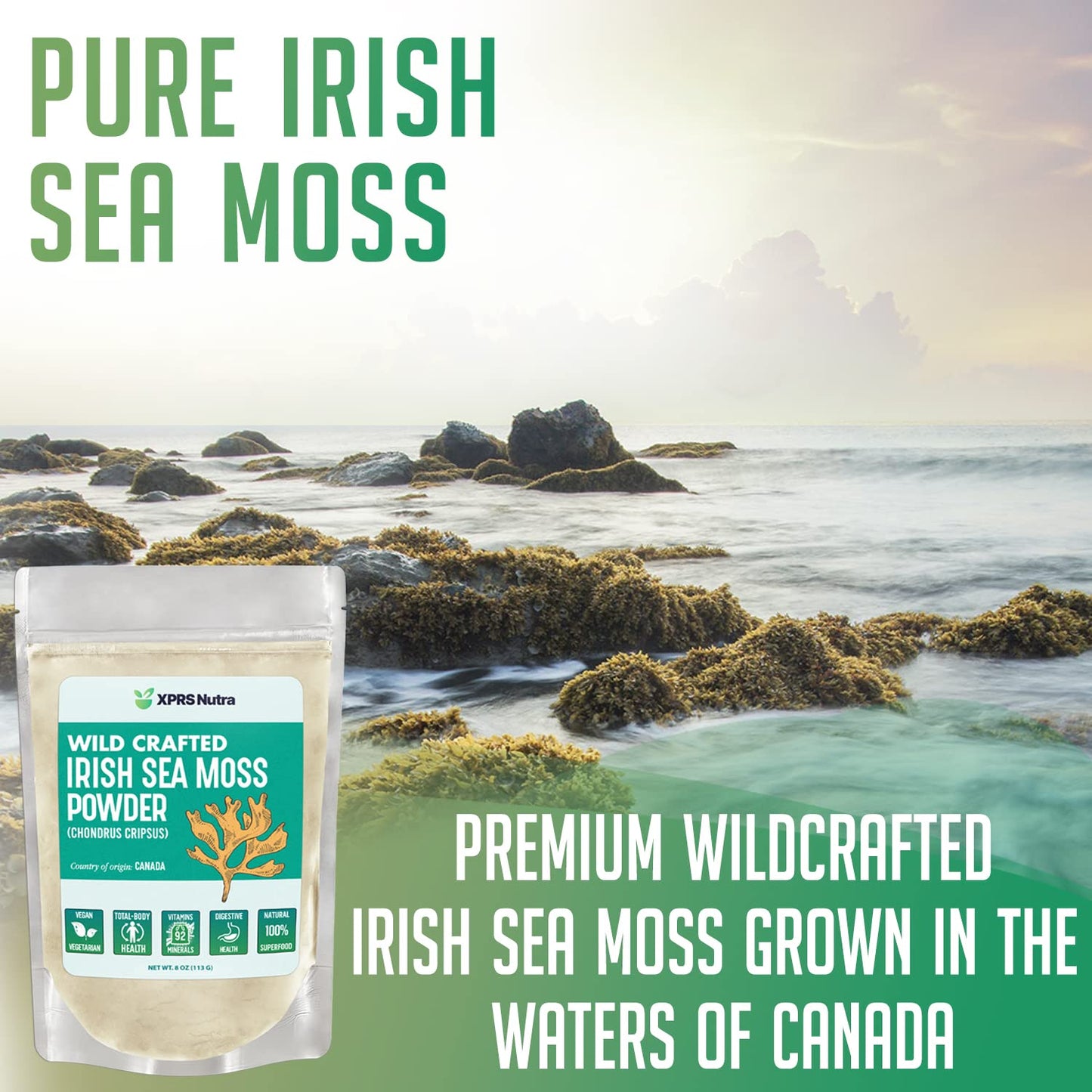 Xprs Nutra Irish Sea Moss Powder (Chondracanthus Chamissoi) - Enhanced Wildcrafted Seamoss Powder For Glowing Skin - Total Body Health Sea Moss Drink Powder - Vegan Friendly Irish Moss Powder (4 Oz)