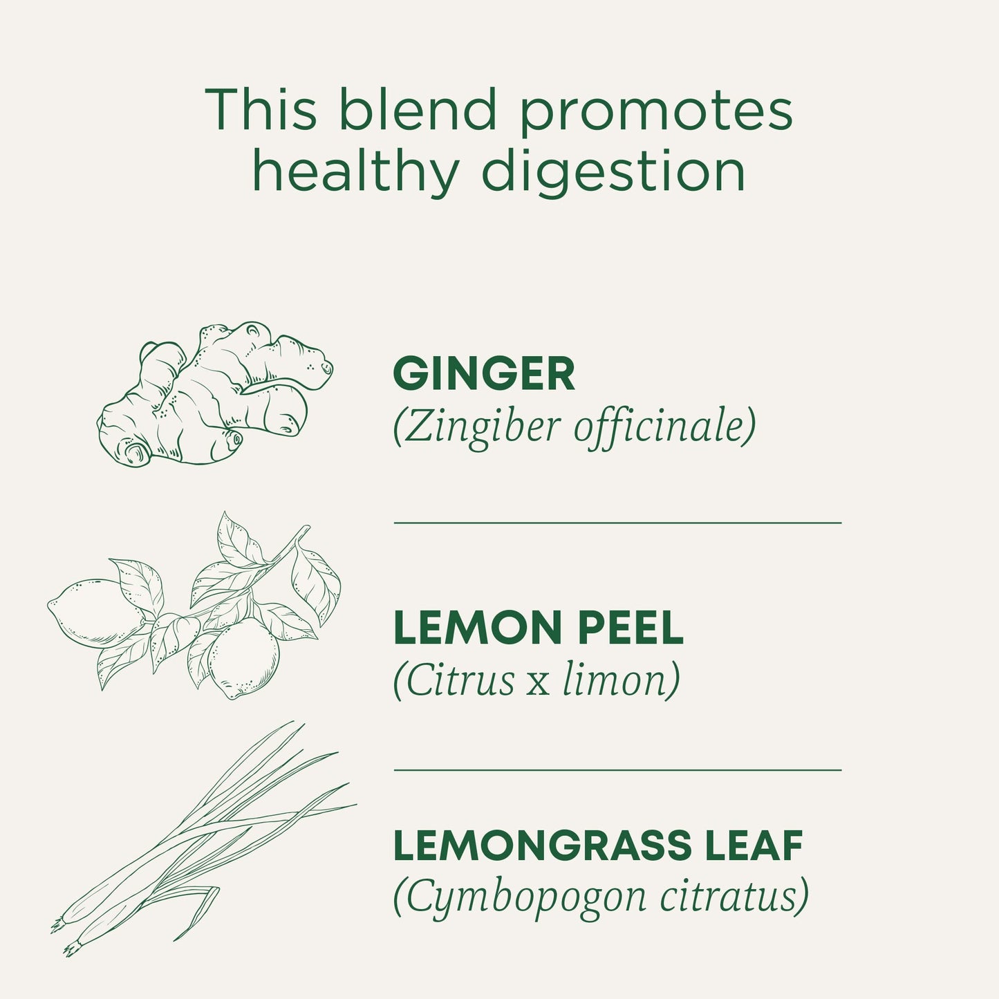 Traditional Medicinals Tea, Organic Lemon Ginger, Promotes Healthy Digestion, 96 Tea Bags (6 Pack)