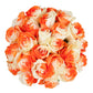 Blommingmore | Fresh Cut Flowers | Natural Tinted Orange And White Roses | 75 Stems - 50Cm | Home, Office, Wedding Decor, Diy, P