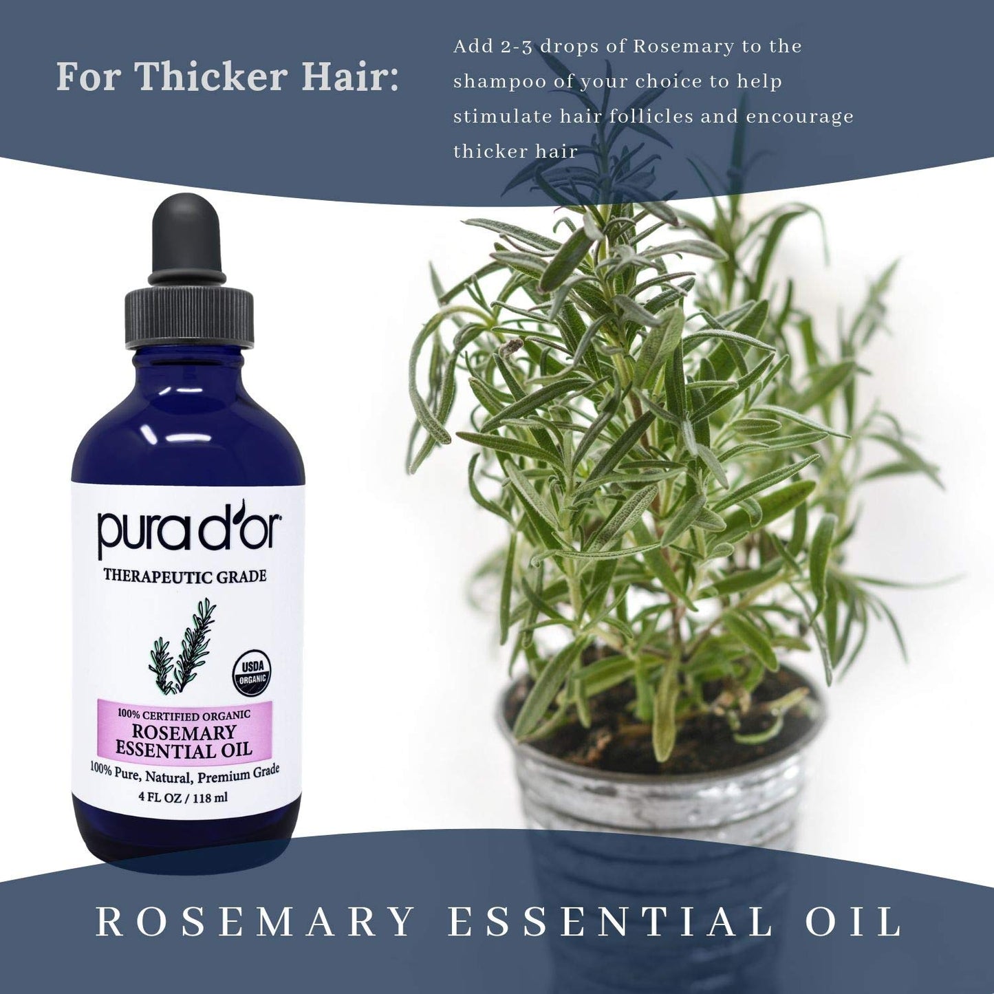 Pura D'Or Organic Rosemary Essential Oil (4Oz With Glass Dropper) 100% Pure & Natural Therapeutic Grade For Hair, Body, Skin, Ar