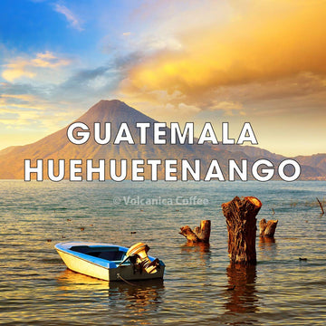 Guatemala Coffee, Huehuetenango, Ground | Medium Roast, Fresh Roasted, 5 Lbs