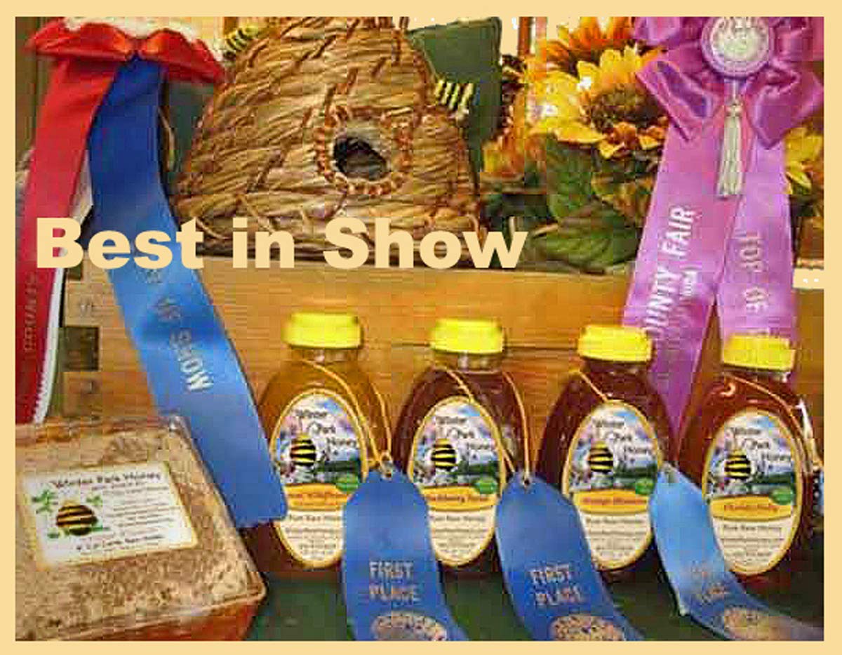 Local Bee Honey New York Wildflower Honey - 100% Pure Raw Unfiltered - 16oz Honey