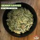 Angel Brand Senna Leaf - 0.5 Oz Pouch - Dried Senna Leaves For Tea, Herbal Infusions, And Traditional Uses