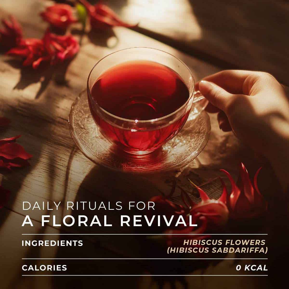 Gya Tea Co Hibiscus Tea Gift Set - Decaf Tea Pods - 16 Count - Perfect Get Well Gifts - Enjoy Hot or Iced