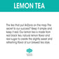 Arizona Lemon Tea, 20 Fl Oz (Pack Of 12)