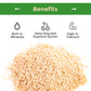 Sincerely Nuts Hulled Sesame Seeds | A Heart Healthy Snack Rich In Fiber, Minerals & Antioxidants | Source Of Plant Based Protein | Gluten Free & Kosher, Bulk 5(Lb) Bag