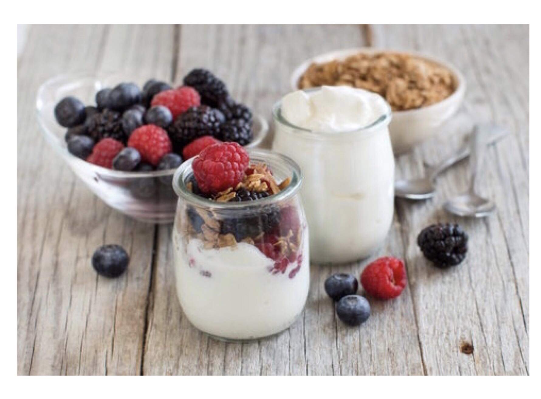 Positively Probiotic Heirloom Yogurt Starter Culture - Thermophilic Variety