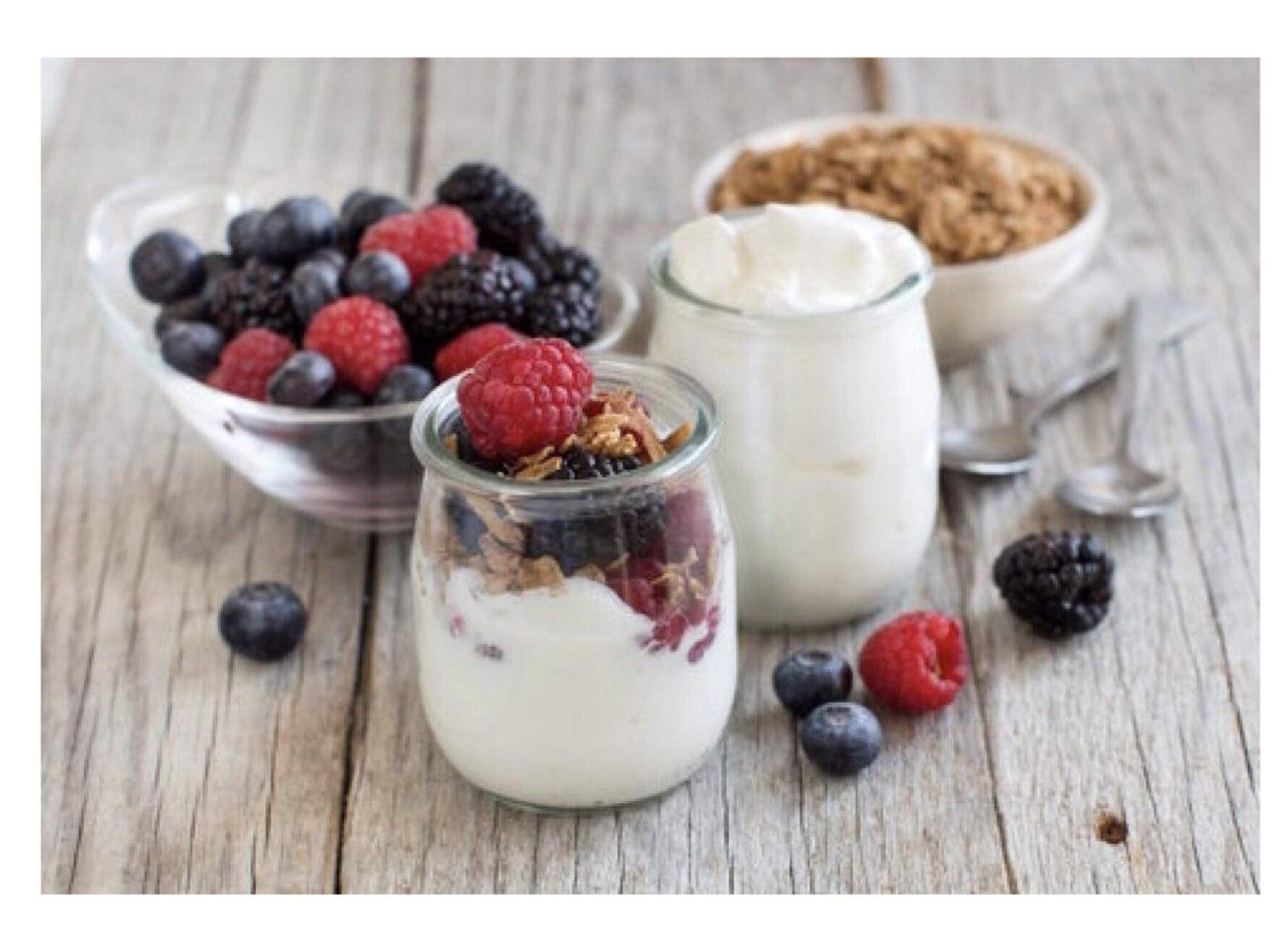 Positively Probiotic French Heirloom Yogurt Starter Culture - 2 Pack
