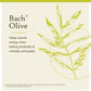 Bach Flower Olive
