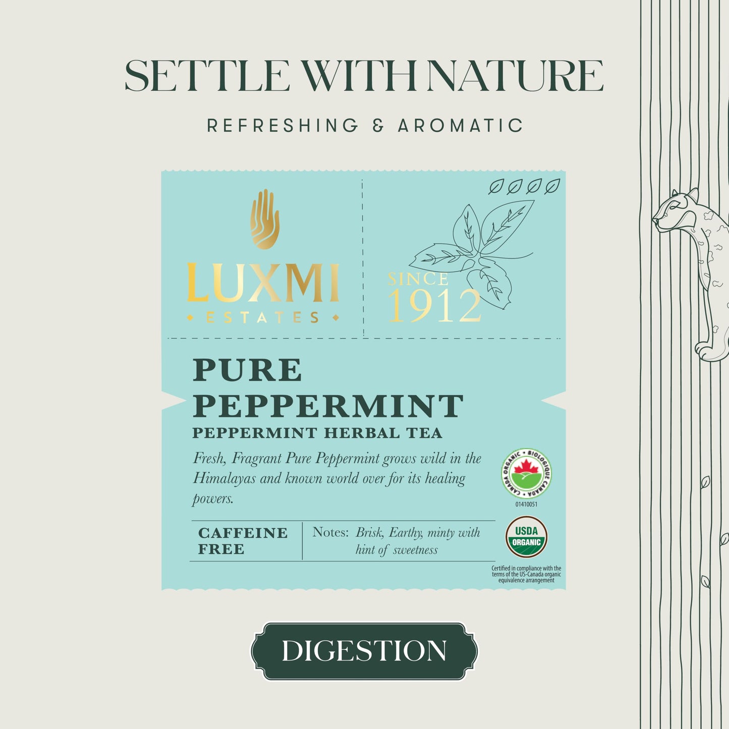 Luxmi Estates Purely Peppermint 25Gm Tin | Usda Certified Organic Herbal Tea | Mint Tea Best For Night Time