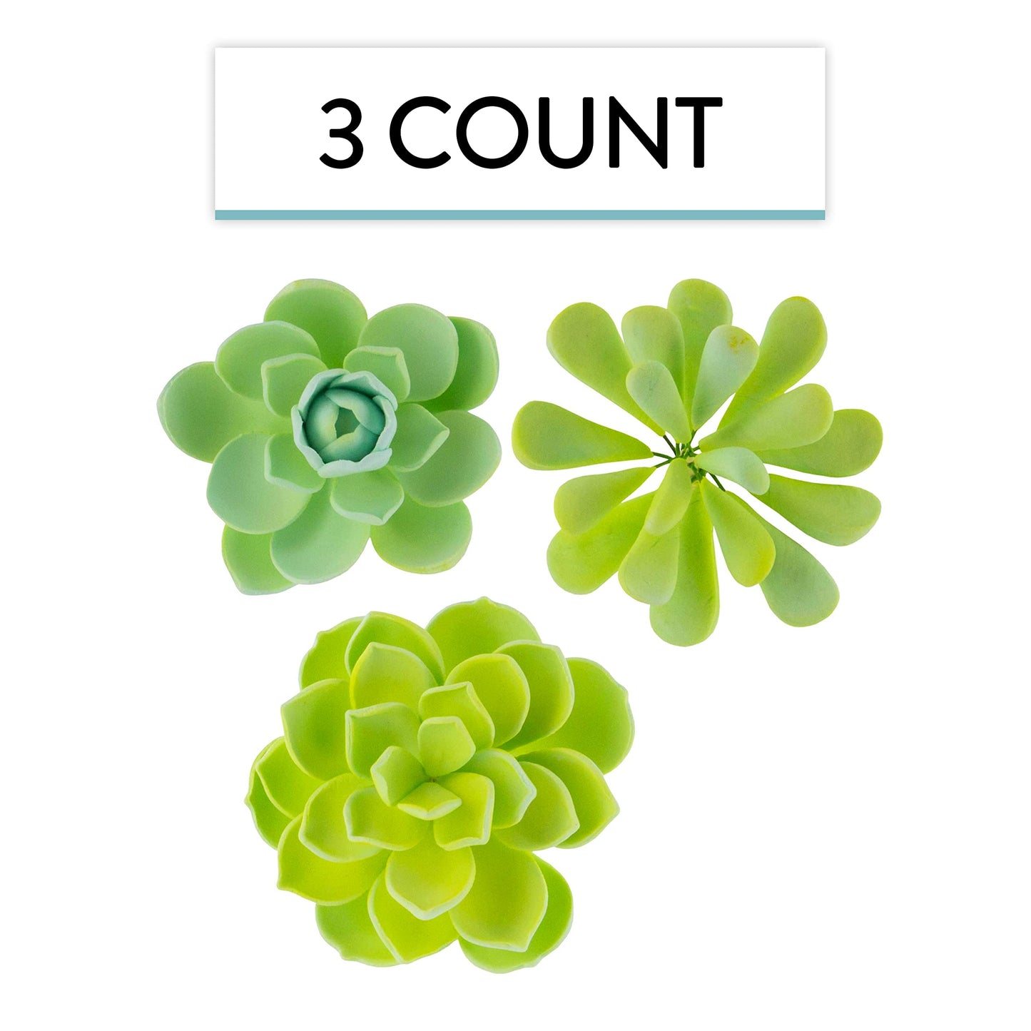 Global Sugar Art Succulent Mixed Assortment Sugar Cake Flowers, 3 Count By Chef Alan Tetreault