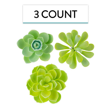 Global Sugar Art Succulent Mixed Assortment Sugar Cake Flowers, 3 Count By Chef Alan Tetreault