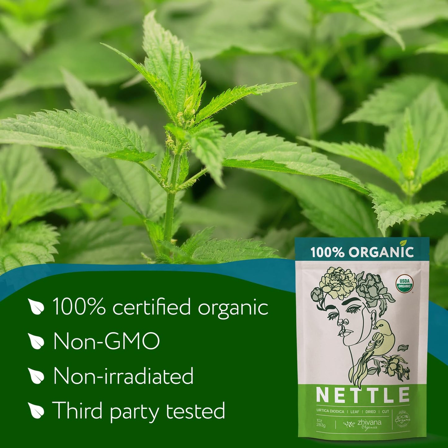 Zhivana Organics Nettle Tea - Nettle Leaf Organic, Nettle Tea Loose Leaf, Stinging Nettles Loose Leaf Organic, Ortiga Verde Orga