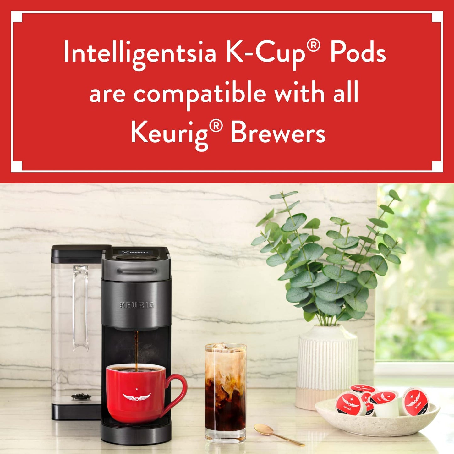 Intelligentsia Coffee K-Cup Pods, Light Roast, Organic El Gallo, 60 Count (6 Boxes of 10 Pods)