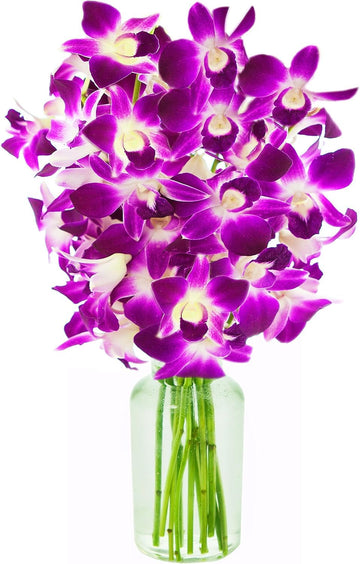 KaBloom Flowers - Mother's Day Collection - 10 Purple Orchid with vase, Gift for Birthday, Sympathy, Anniversary, Get Well, Than