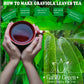 Gabio Green- Whole Soursop leaves(1 Pound / 16.2oz) 1.350 leaves aprox, Big Bag, Hojas de guanabana, tea Soursop, Dried Herbs,.