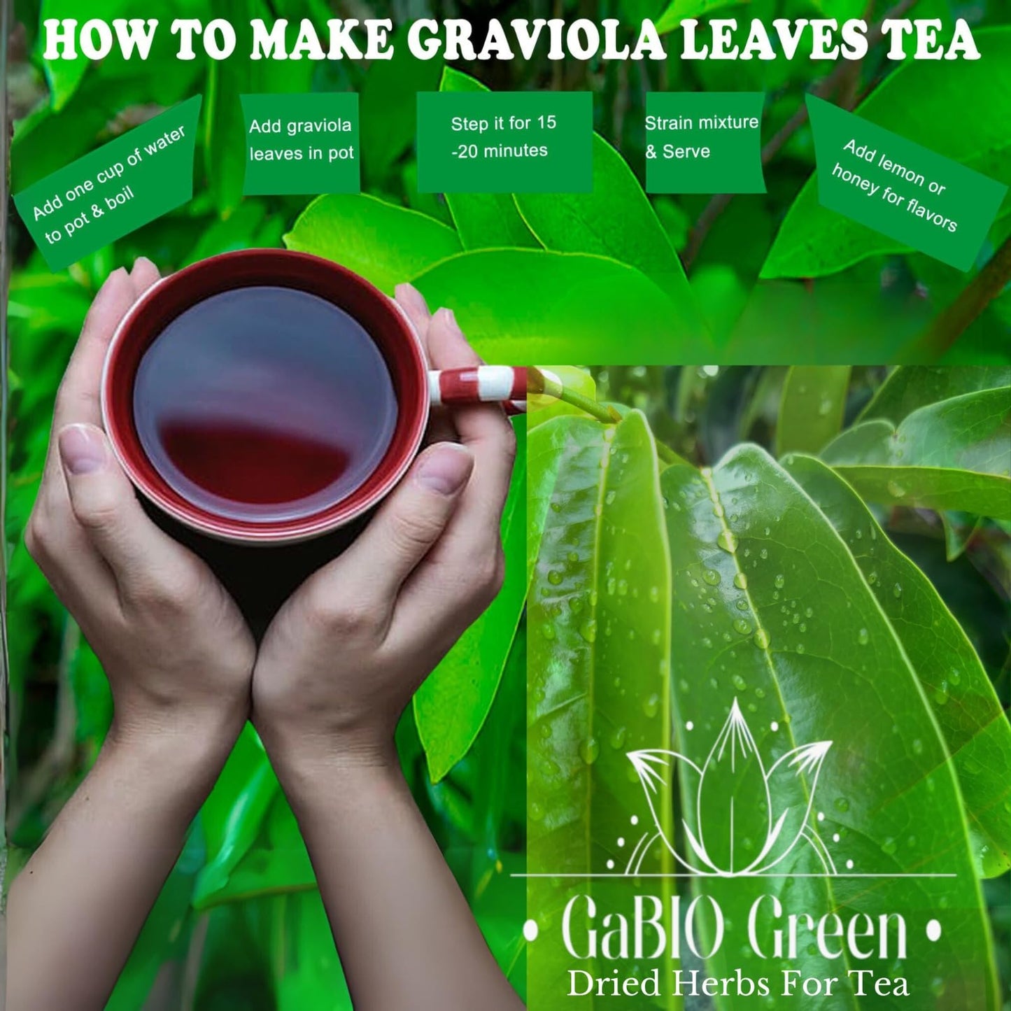 Gabio Green- Whole Soursop leaves(1 Pound / 16.2oz) 1.350 leaves aprox, Big Bag, Hojas de guanabana, tea Soursop, Dried Herbs,.