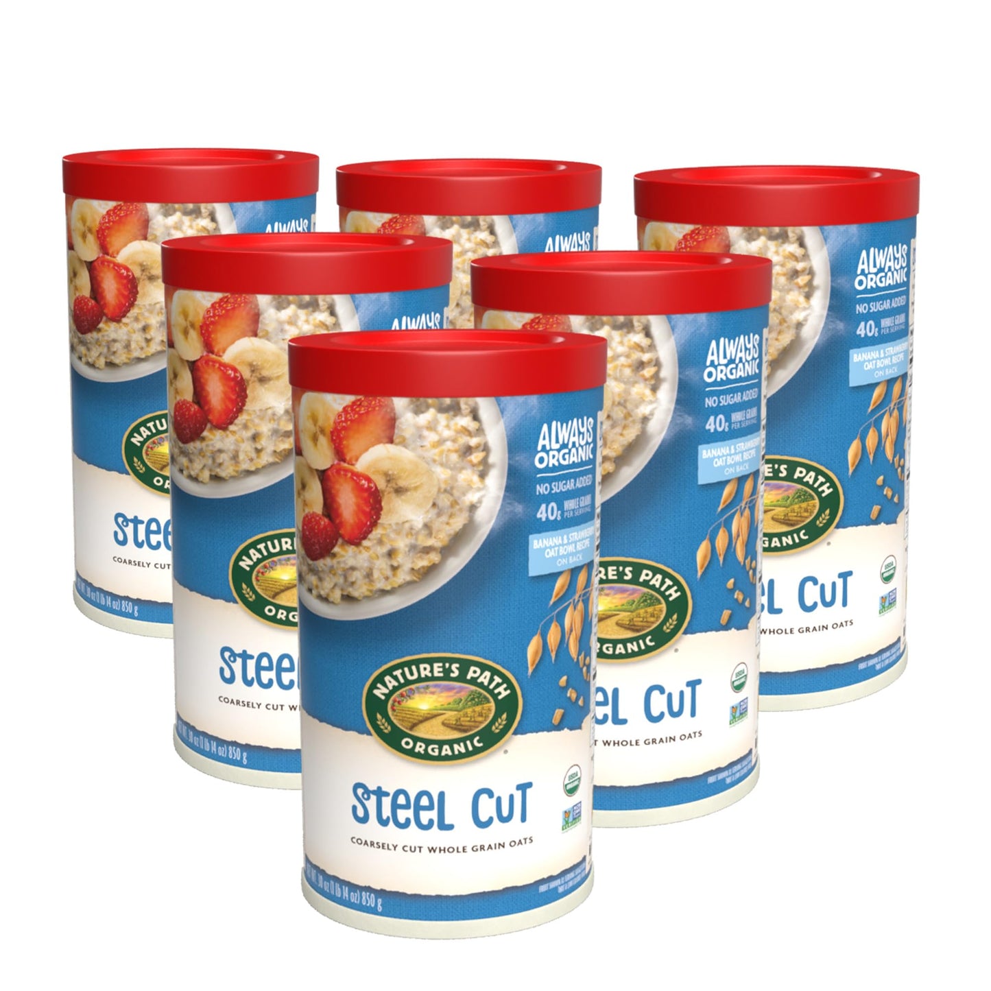 Nature s Path Organic Steel Cut Oats Instant Oatmeal, 30 oz (Pack of 6), Non-GMO