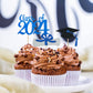 2024 Glittery Graduation Cupcake Toppers (48 Pieces) Class Of 2024 Graduation Cap Diploma Cupcake Toppers For Graduation Party,