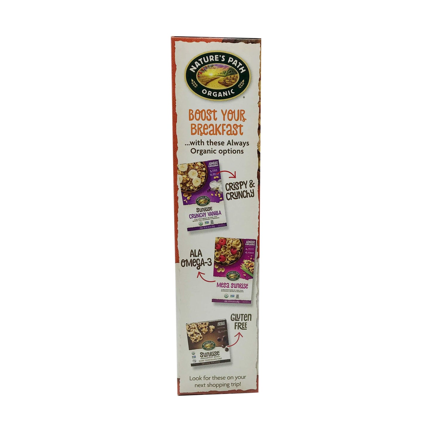NATURES PATH Organic Gluten Free Crunchy Maple Sunrise Cereal, 10.6 OZ