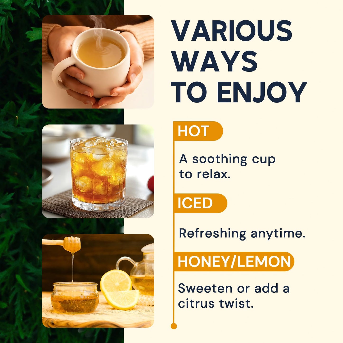 Turmeric Ginger Cinnamon Tea Bags  No Sugar  No Caffeine  120 Count