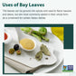 Soeos Bay Leaf, 1 lb (454g), Non-GMO Verified, Dried Bay Leaf, Freshly Packed to Keep Fresh, Bay Laurel Herbs for Cooking,Bay La