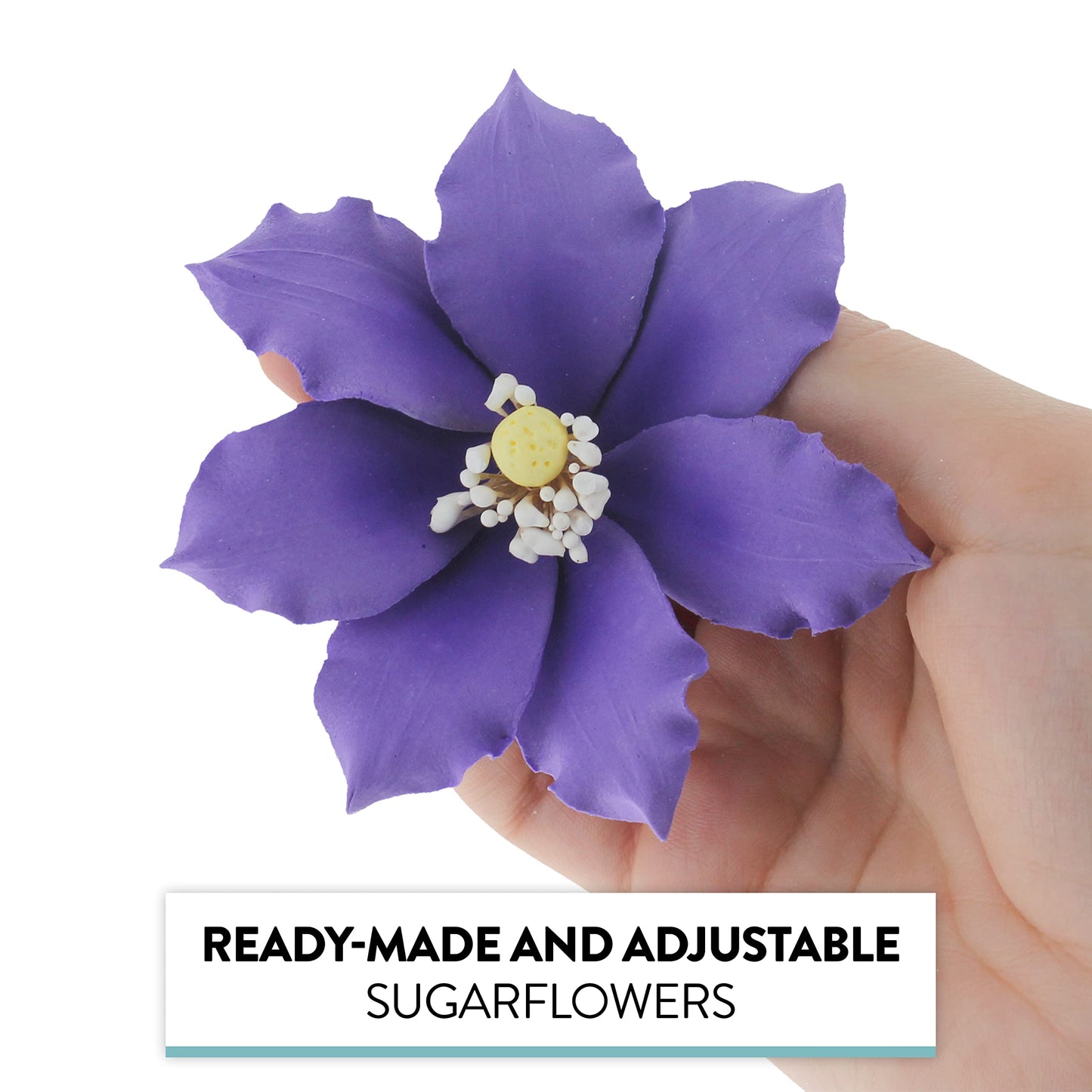 Global Sugar Art Clematis Sugar Cake Flowers, Light Purple, 3 Count by Chef Alan Tetreault