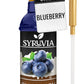 Syruvia Blueberry Syrup For Drinks 25.4 Ounces Blueberry Flavoring Syrup With Pump