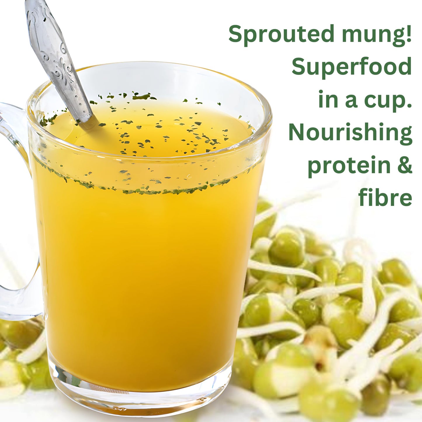 MOONG PANI Vegetable Broth Powder, Natural Veggie Soup Lower Sodium (Roasted Garlic & Turmeric) Keto Friendly, Vegan, High Fiber