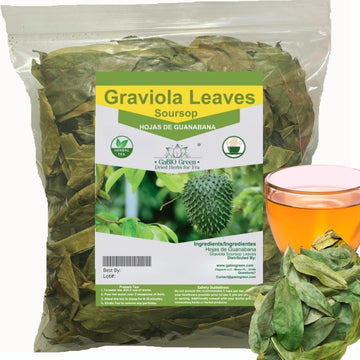 Gabio Green- Whole Soursop leaves (+1/2 Pound /8.1 oz) 670 + leaves aprox, Big Bag, Hojas de guanabana, tea Soursop, Resealable 