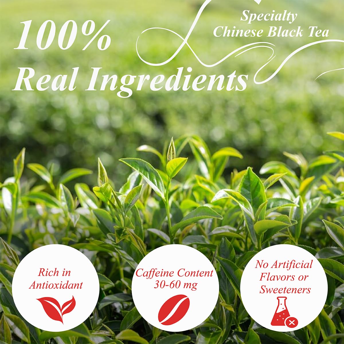 WT WEETEE Lapsang Souchong Tea Bags, Smoky Black Tea, 100 Count, Resealable Kraft Bag, Natural Caffeine & Antioxidants