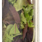 Whole Foods Market, Organic Sweet Baby Lettuces, 5 oz