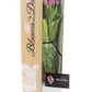 Blooms2Door Flowers - Mothers Day Collection - 30 Pink Tulips - Farm-Fresh Flowers - Gift for Birthday, Anniversary, Thank You