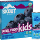 Skout Organic Blueberry Blast Real Food Bars For Kids (6 Pack) | Organic Snacks For Kids | Plant-Based Nutrition, No Refined Sug