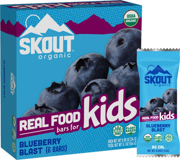 Skout Organic Blueberry Blast Real Food Bars For Kids (6 Pack) | Organic Snacks For Kids | Plant-Based Nutrition, No Refined Sug