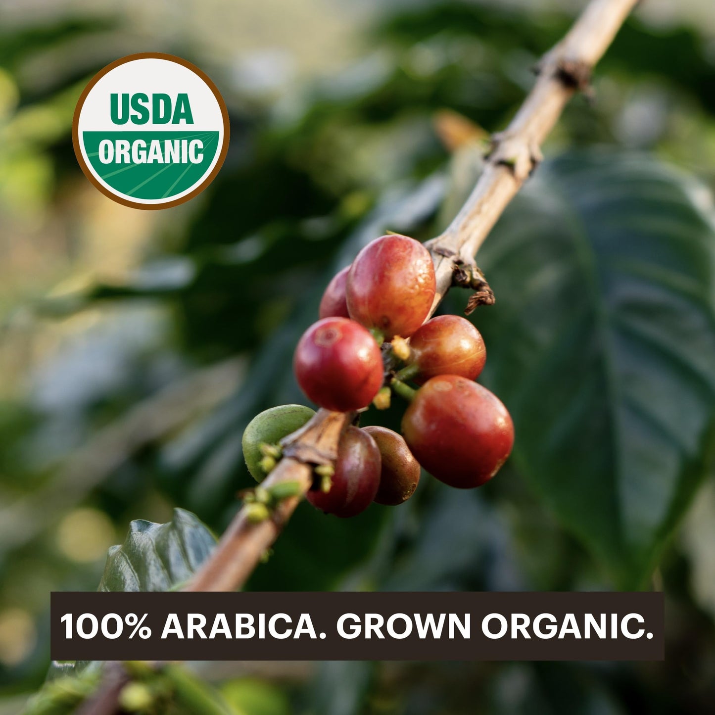 G Grana Coffee Pods, Nespresso Compatible, Variety Pack, Medium & Dark Roast, 60 Count, USDA Organic 100% Arabica, Compostable compact pieces