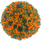 Mystic Sprinkles Graduation Day Sprinkles Mixes (Graduation Day! Orange & Green Sprinkle Mix 3.8Oz)