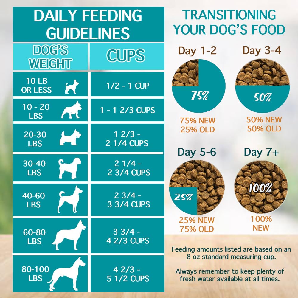 Chicken Soup For The Soul All Natural Enhanced Mature-Themed Dry Dog Food, Real Meat First Ingredient, No By-Products, Supports Gut & Immune Health, Beef & Brown Rice, 4.5Lb