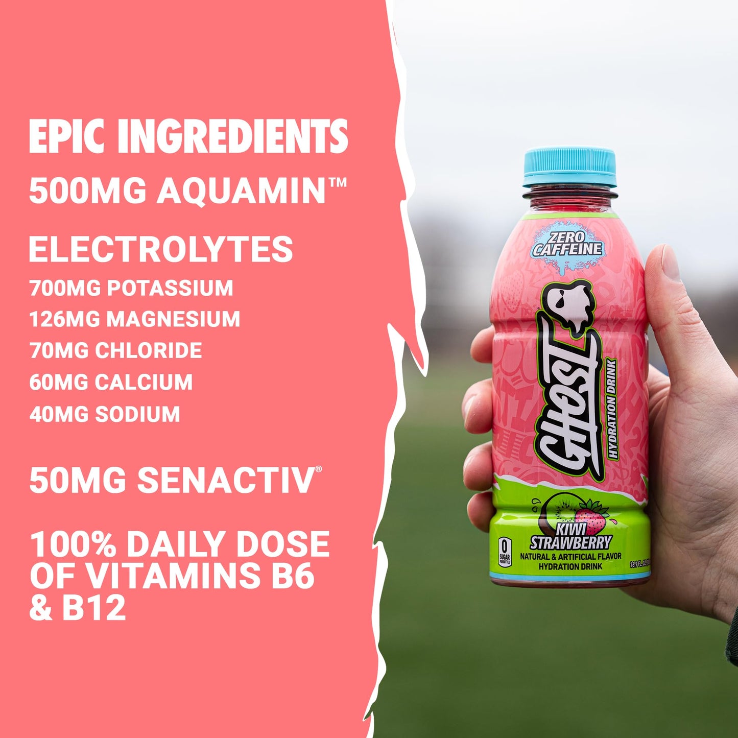 GHOST Hydration Drink, Kiwi Strawberry, Electrolytes, 16.9 Fl Oz, Pack of 12
