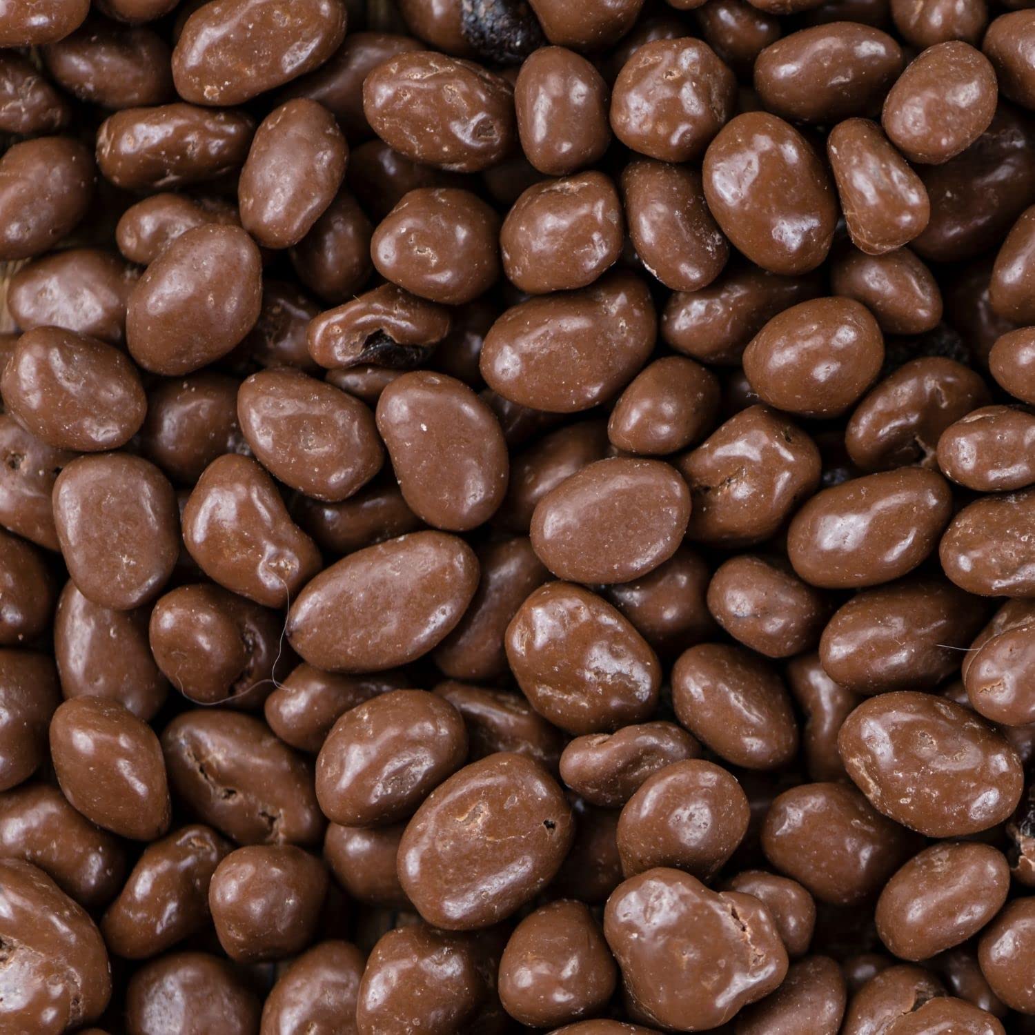 Its Delish Gourmet Milk Chocolate Covered Raisins, 1 lb Bulk, Kosher Dairy Snack for Parties and Events