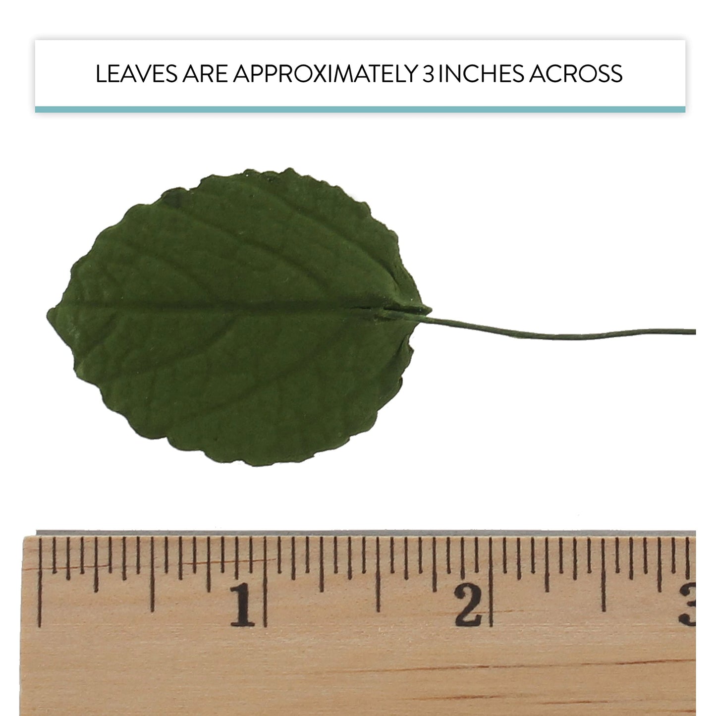 Global Sugar Art Hydrangea Leaves Sugar Cake Flowers Small Green, 30 Count By Chef Alan Tetreault
