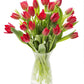 KaBloom Flowers -Valentine's Day Collection - 20 Red Tulips with vase, Gift for Birthday, Sympathy, Anniversary, Get Well, Thank