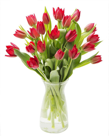 KaBloom Flowers -Valentine's Day Collection - 20 Red Tulips with vase, Gift for Birthday, Sympathy, Anniversary, Get Well, Thank