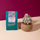 Heirloom Coffee Roasters - Bedrock Blend - Medium/Dark Roast - Whole Bean Coffee - 100% Regenerative Organic Certified, 12oz