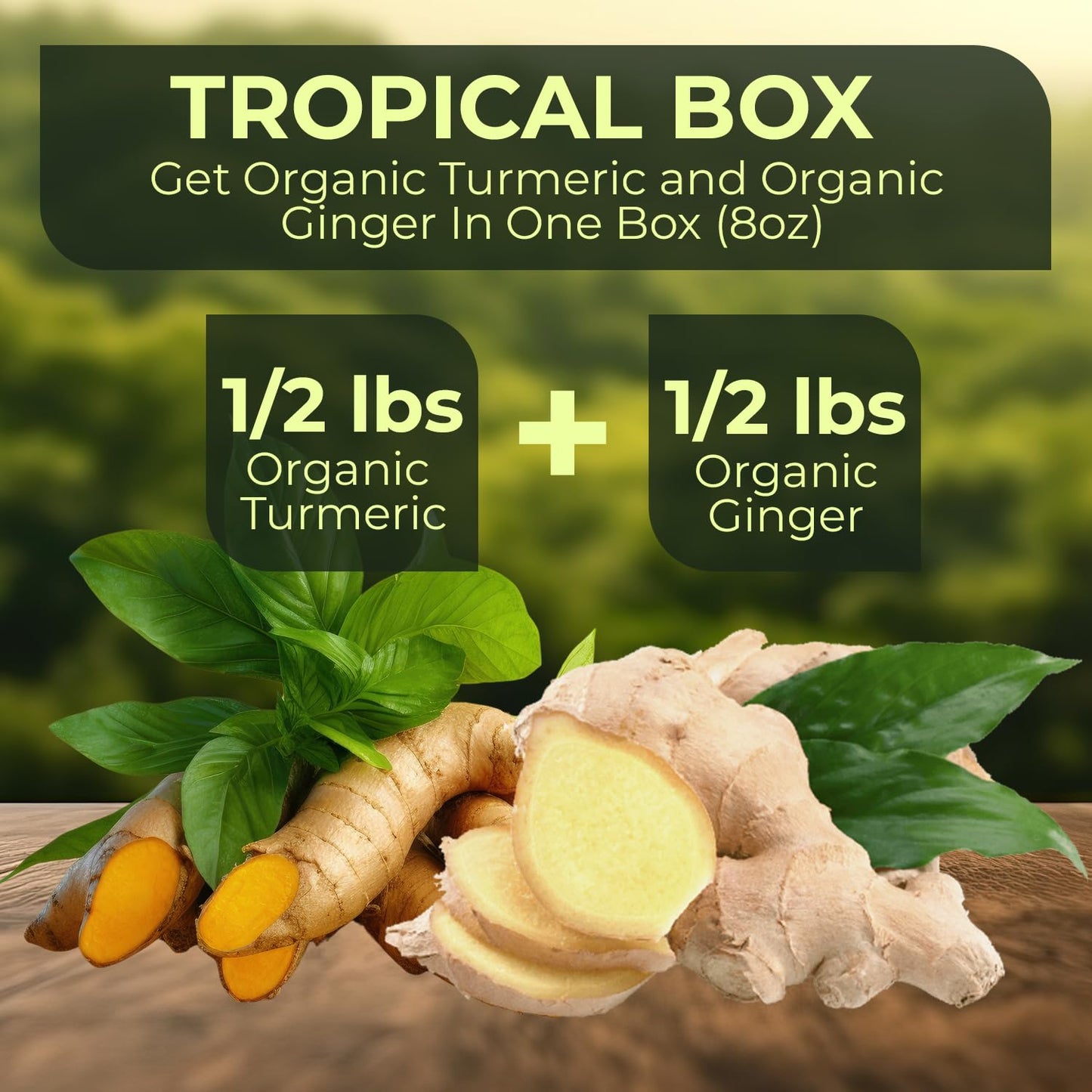 2 Lbs Us Grown (Not From Fiji!) Organic Turmeric Ginger Root Blend Box (1 Lb Us Grown Turmeric Fresh + 1 Lb Peruvian Ginger Fres