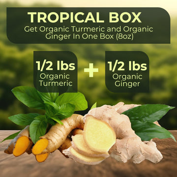 2 Lbs Us Grown (Not From Fiji!) Organic Turmeric Ginger Root Blend Box (1 Lb Us Grown Turmeric Fresh + 1 Lb Peruvian Ginger Fres