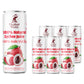 Elephant World 100% Natural Lychee Juice | Non Gmo | 10.8 Oz (Pack Of 6), Lychee