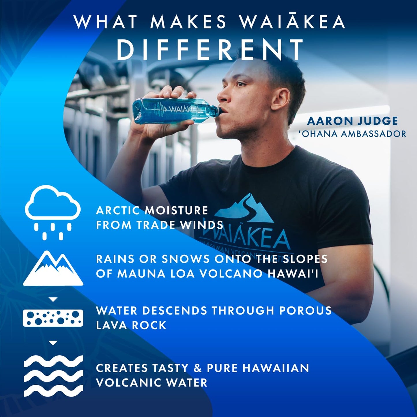 Waiakea Hawaiian Volcanic Water, Naturally Alkaline, 33.8 Fl Oz, 100% Recycled Bottle, Pack of 12, Model 1001