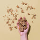 Lark Ellen Farm Vanilla Cinnamon, Cacao Cherry, Berrylicious Grain Free Granola Clusters, Raw Sprouted Certified Organic Vegan,